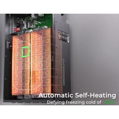 Аккумулятор ﻿литиевый Dyness PowerDepot G2 LiFePO4 48V 100Ah