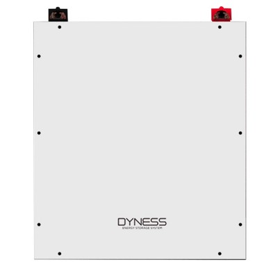 Аккумулятор ﻿литиевый Dyness DL5.0C LiFePO4 48V 100Ah