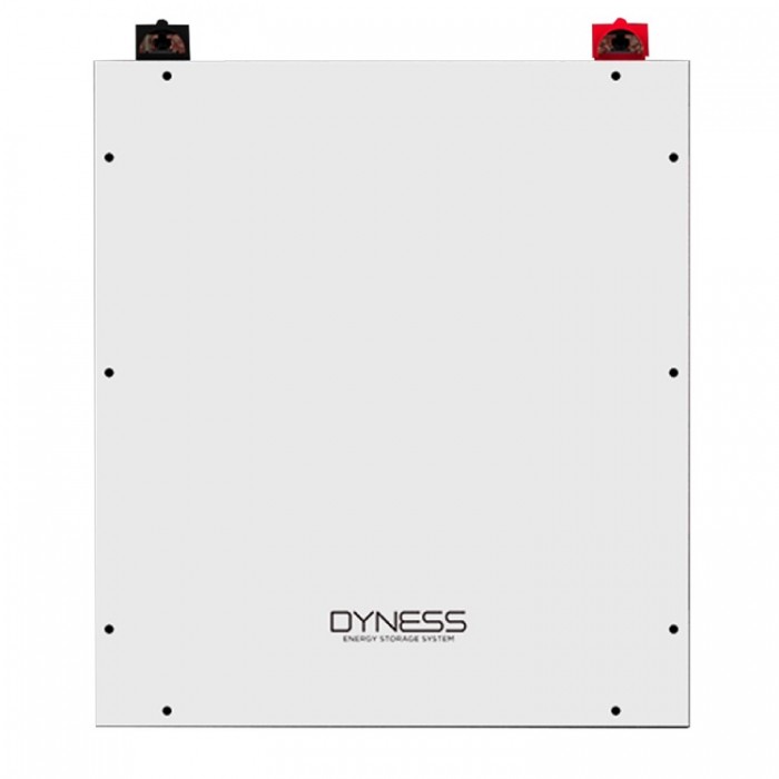 Аккумулятор ﻿литиевый Dyness DL5.0C LiFePO4 48V 100Ah