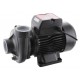 Насос поверхностный центробежный Koer 2DK-20 (KP2765)
