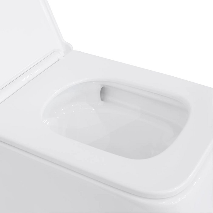 Підвісний безободковий унітаз Mixxus Premium Diverse-0101-T1 Tornado 1.0 (MP6477)