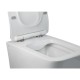 Подвесной безободковый унитаз Qtap Crow QT05335170W