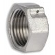 Заглушка SD Forte SF35215 1/2" ВР никель