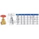 Задвижка вентильная SOLOMON 1/2" ВВ PN16 Задвижка вентильная SOLOMON 1/2" ВВ PN16